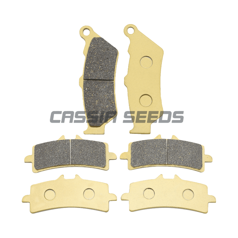 MOTORRAD-Bremsbeläge vorne und – Carbon Ceramic Motorcycle Brake Rotor Bewertung und Preis